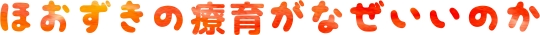 ほおずきの療育がなぜいいのか