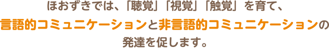 ほおずきでは、「聴覚」「視覚」「触覚」を育て、言語的コミュニケーションと非言語的コミュニケーションの発達を促します。