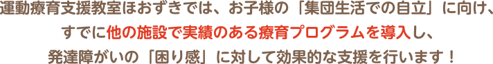 運動療育支援教室ほおずきでは、お子様の「集団生活での自立」に向け、すでに他の施設で実績のある療育プログラムを導入し、発達障がいの「困り感」に対して効果的な支援を行います！