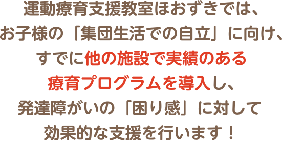運動療育支援教室ほおずきでは、お子様の「集団生活での自立」に向け、すでに他の施設で実績のある療育プログラムを導入し、発達障がいの「困り感」に対して効果的な支援を行います!